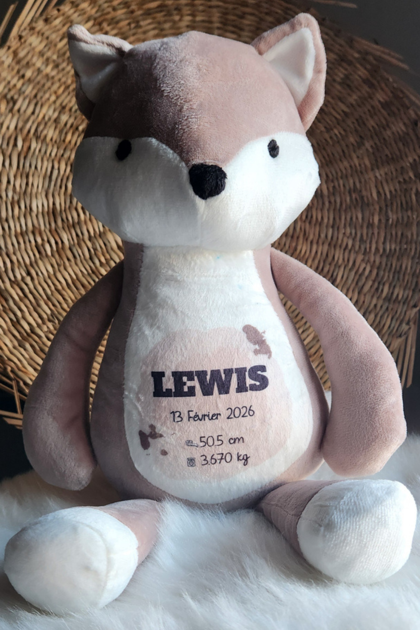 Peluche Renard Personnalisée
